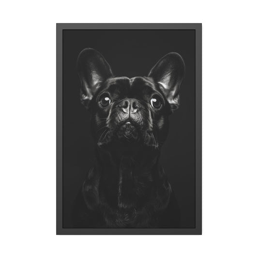 French Bulldog (Framed Paper Posters)