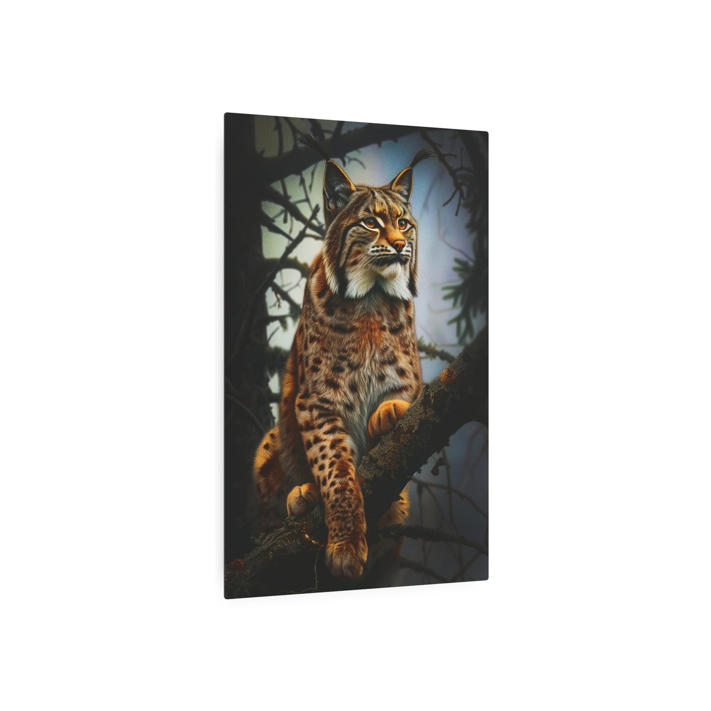 Lynx in the Forest (Metal Art Sign)