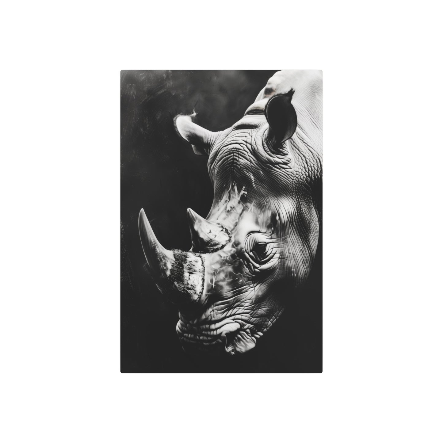 Black and White Rhinoceros (Metal Art Sign)