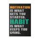 Motivation and Habit (Matte Canvas, Stretched)