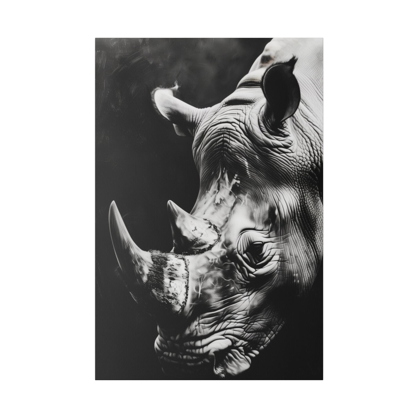 Black and White Rhinoceros (Matte Canvas, Stretched)